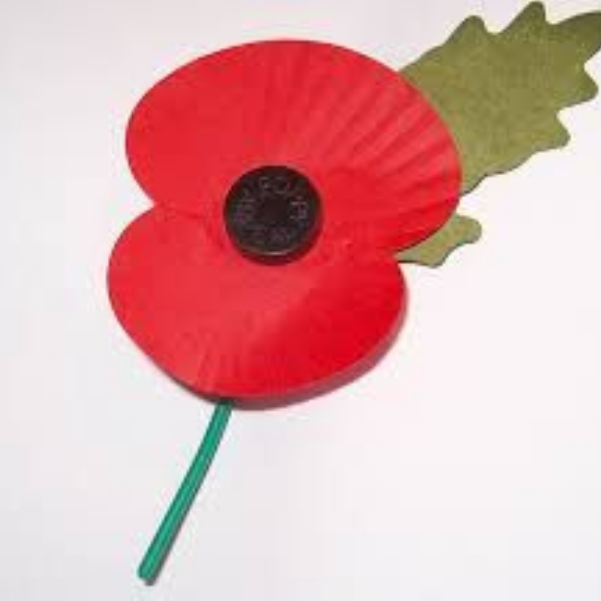 The Priory City Of Lincoln Academy Remembrance Cenotaph Video